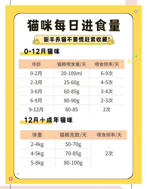 不满一个月的小猫可以吃猫粮吗?