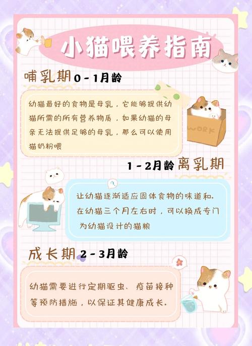 两个月的小猫怎么喂猫粮