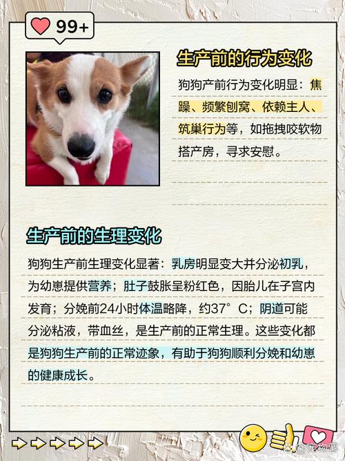 狗难产什么症状