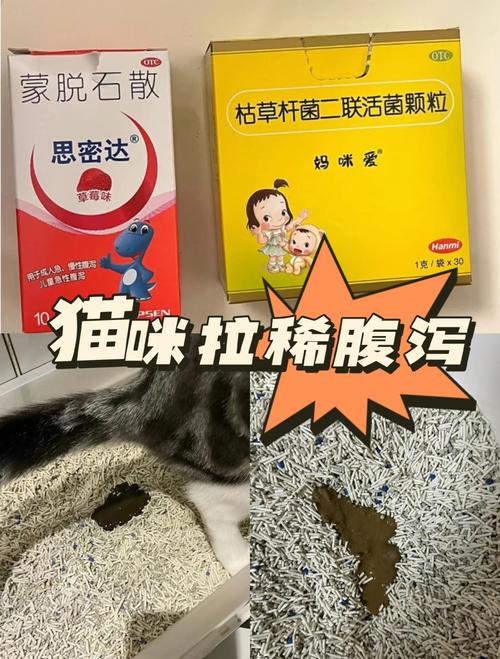 猫可以吃蒙脱石散吗
