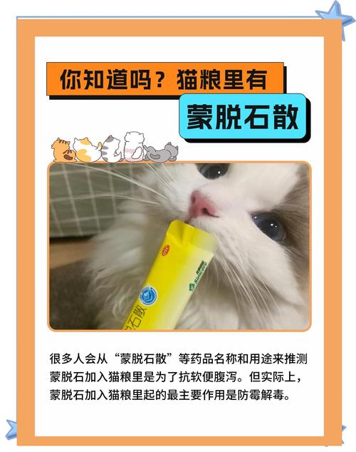 小猫咪拉稀吃什么药