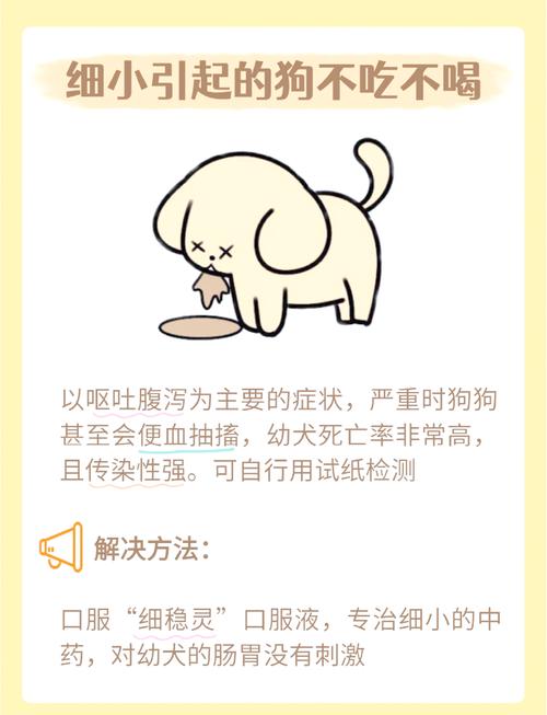 狗狗拉稀不吃饭没精神