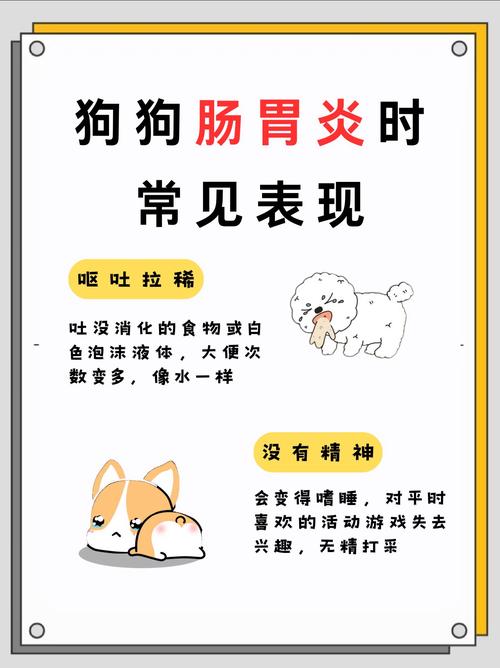 狗狗肠炎的症状