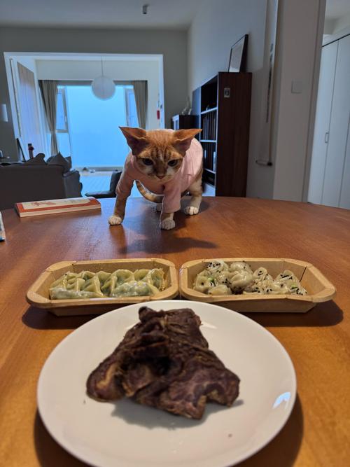 猫吃饭为什么让人陪着