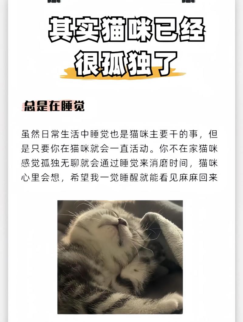 猫咪长期没人陪会怎么样?