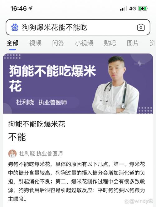 狗狗为什么不能吃爆米花