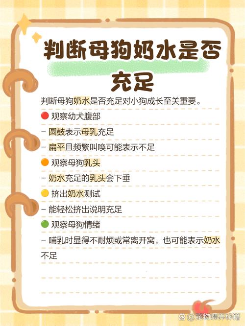 刚出生的狗没有母乳怎么办?