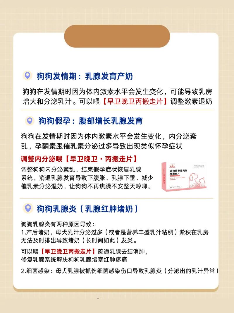 狗狗生完小狗没有奶水该怎么办