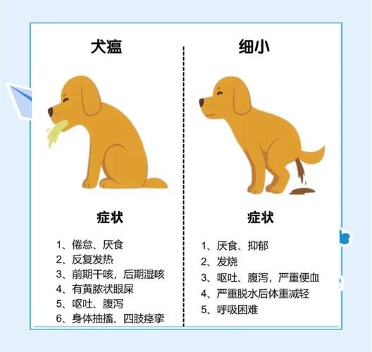 狗狗得细小是什么症状?