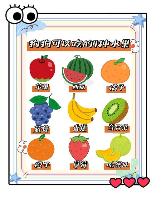 李子狗狗能吃么
