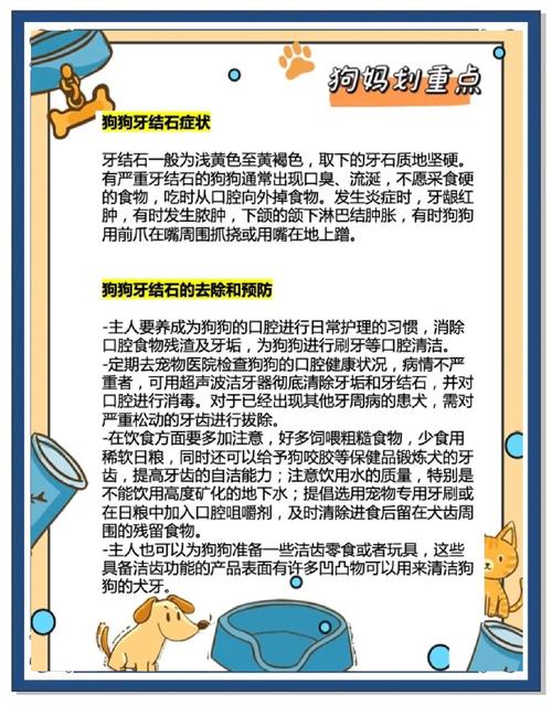 狗狗拔牙后注意什么