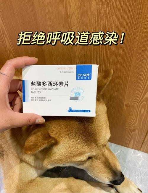 一个多月的狗狗咳嗽流清鼻涕呼吸不畅吃什么药?