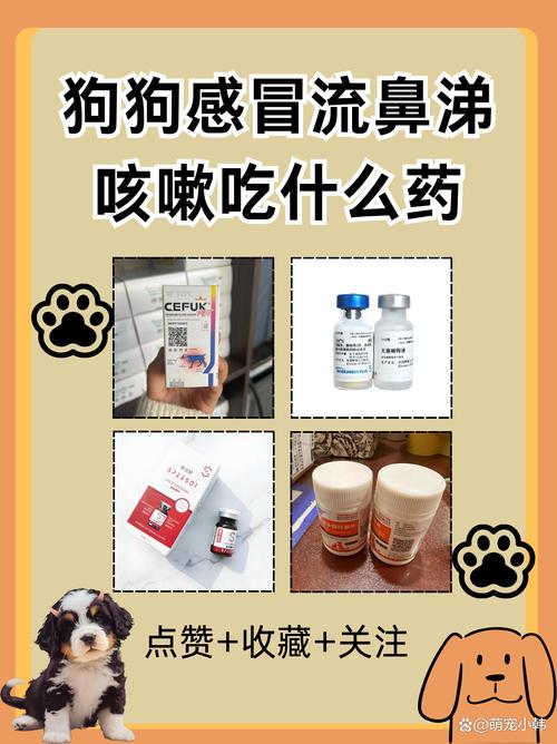 狗流鼻涕吃什么药