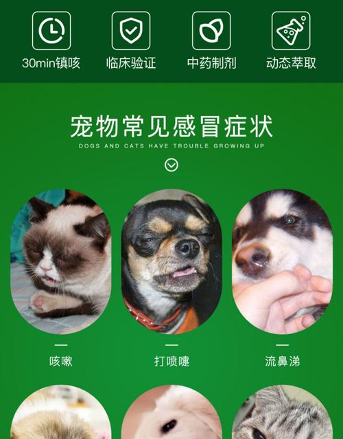 狗狗感冒了流鼻涕吃啥药