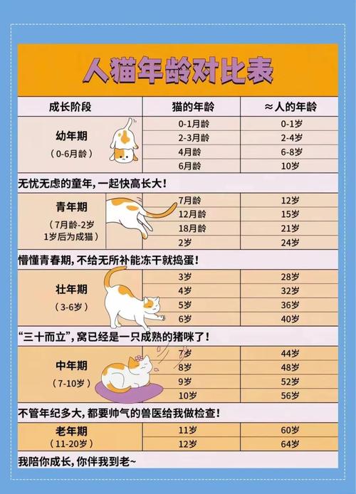 我的猫养了五年了,他猫龄是多少岁呀?