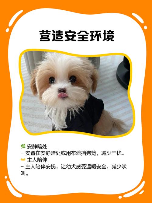 幼犬到家乱叫怎么办?