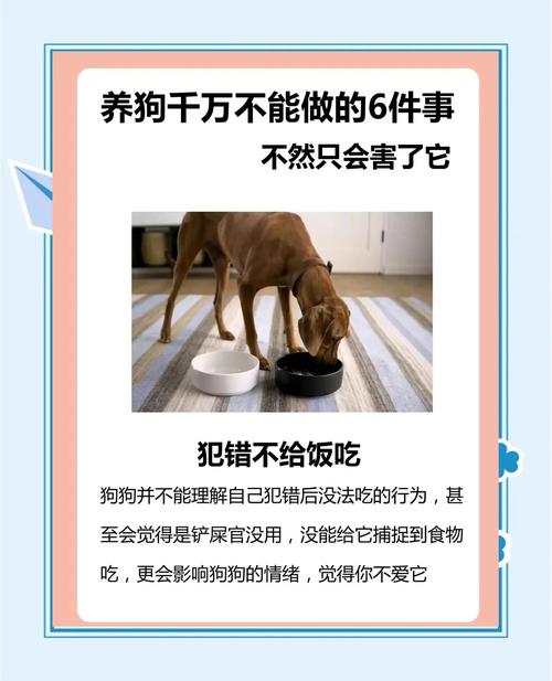 狗狗这5大坏习惯千万别纵容?