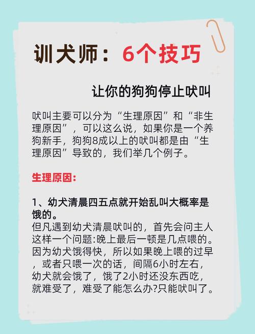 狗狗喜欢吠叫怎么办,如何训练狗不乱叫