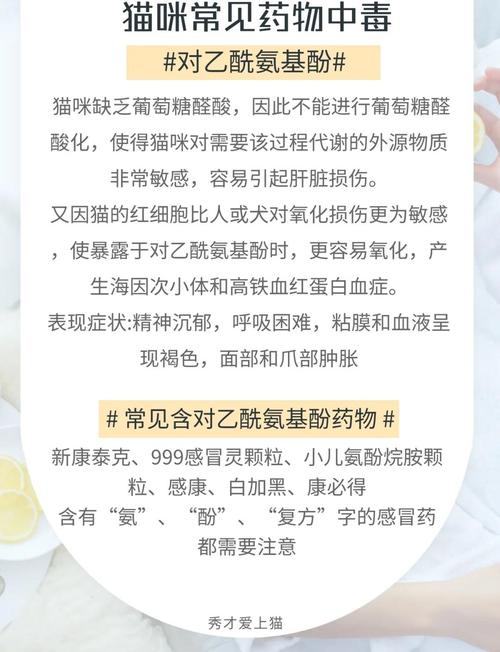 猫咪中毒了该怎么解毒