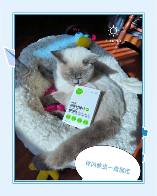 猫吃了阿苯达唑片中毒怎样解毒