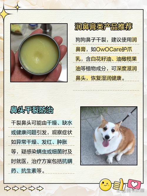 狗鼻子干裂像鳞片是什么病
