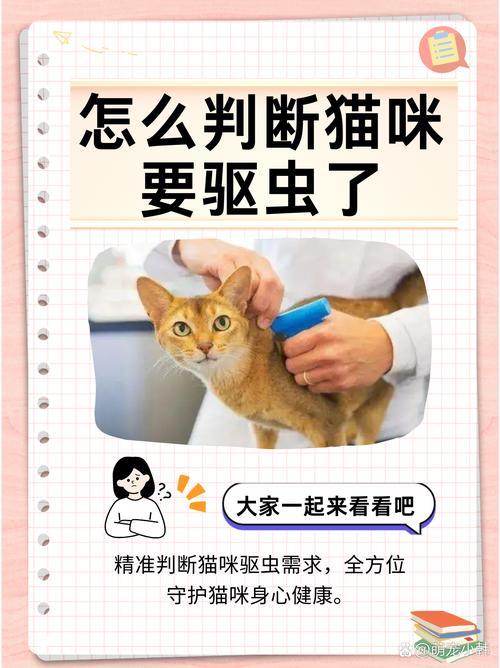 怎么判断猫咪要驱虫了