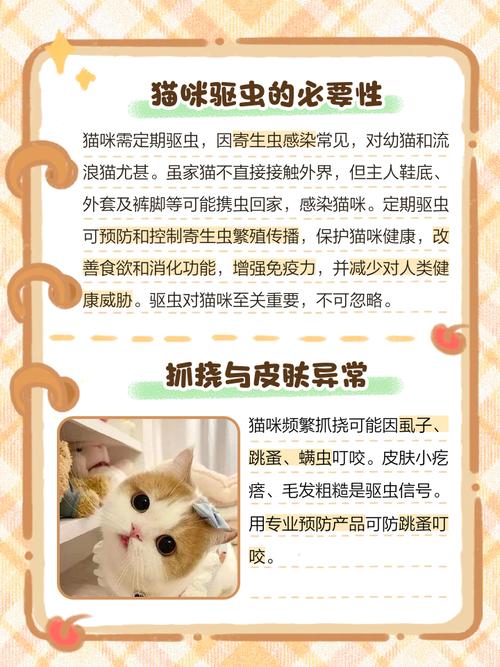 猫咪身上有“寄生虫”的表现,赶紧帮它驱虫吧!