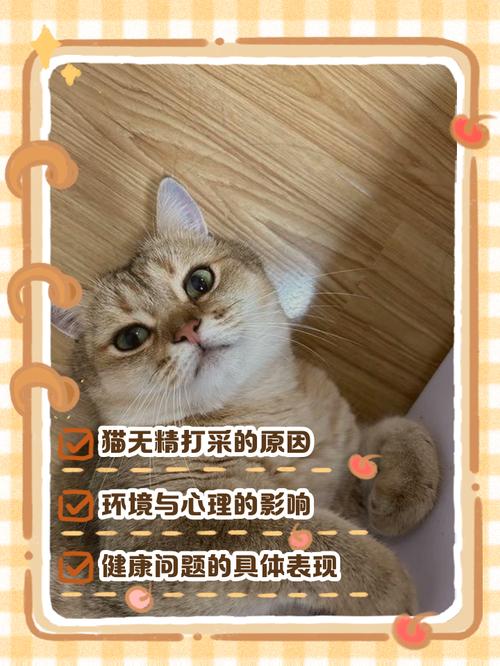 猫咪突然不活跃总是睡怎么回事