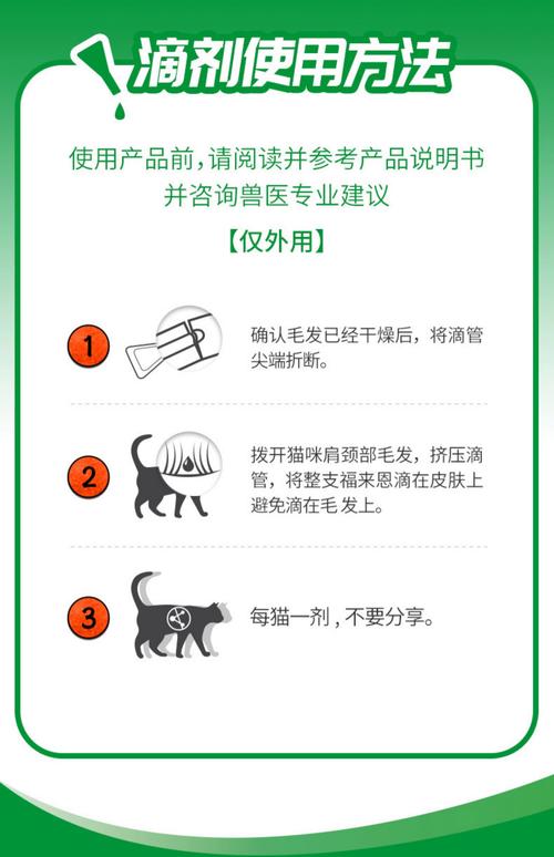 博来恩猫外驱虫的正确方法