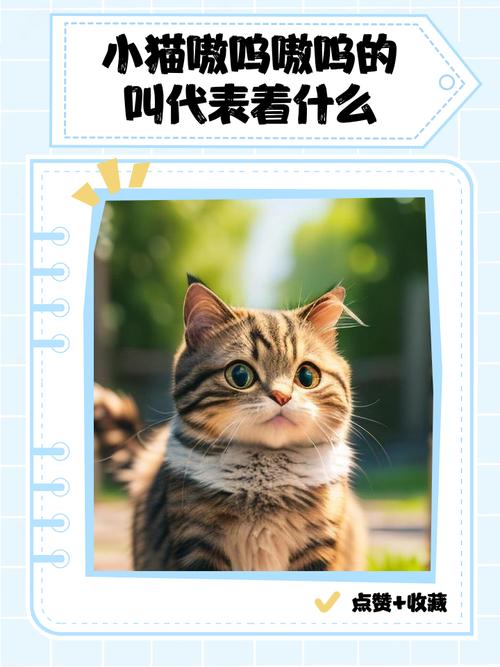 猫嗷呜嗷呜叫什么意思