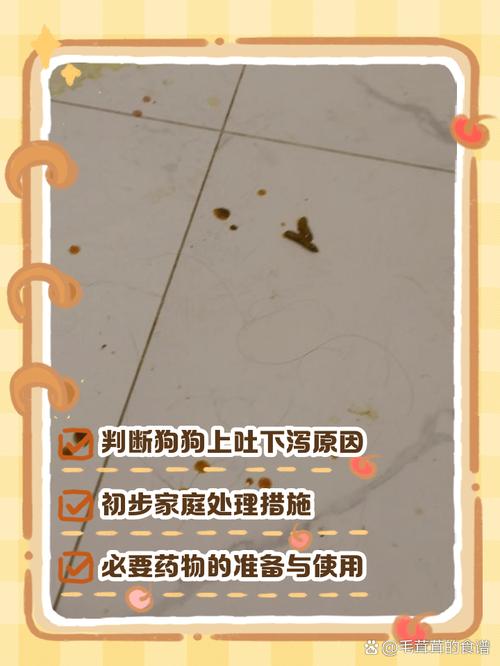 狗狗上吐下泻怎么治?