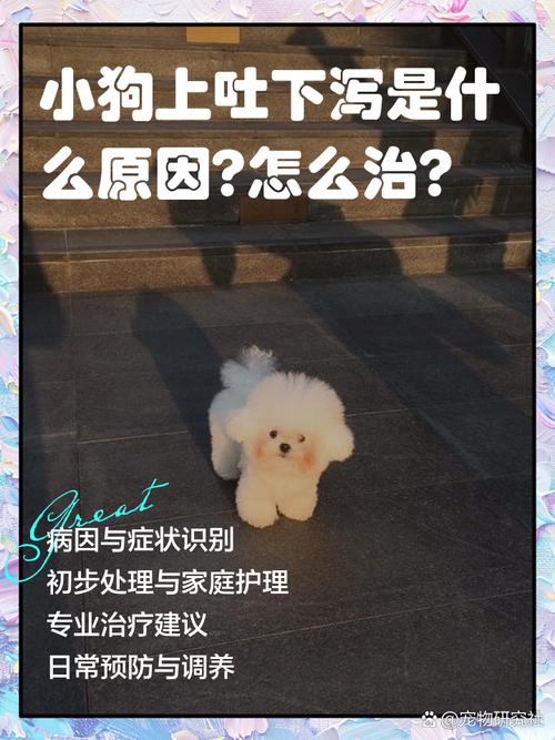 狗上吐下泻怎么回事