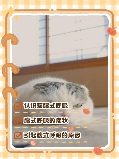 幼猫发现多囊肾,怎么办,能治好吗?