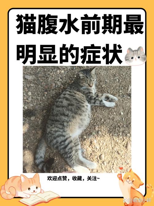 猫肝脏不好的早期症状