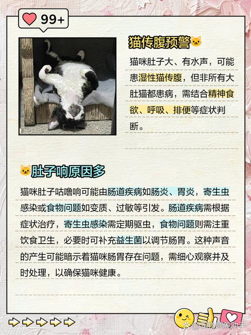 小猫肚子咕咕叫是怎么回事