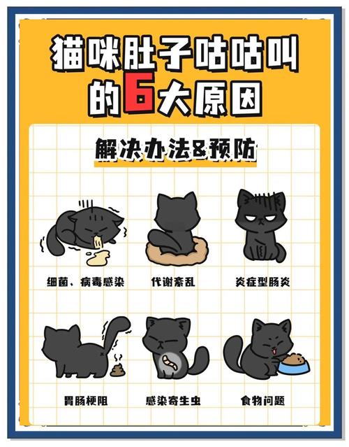 猫咪为什么肚子咕咕叫?