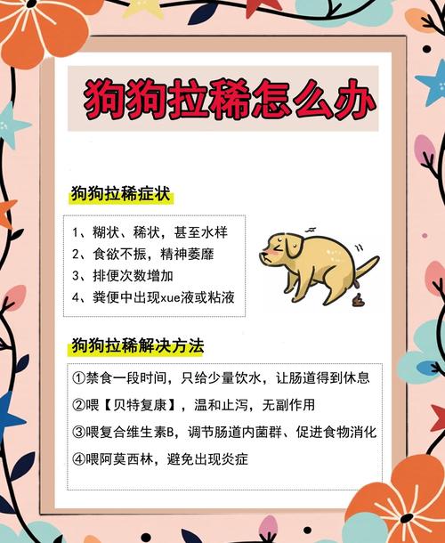 狗狗拉稀了要禁食多久