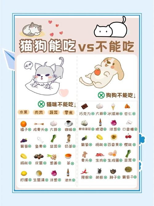 这些禁忌,铲屎官们知道吗