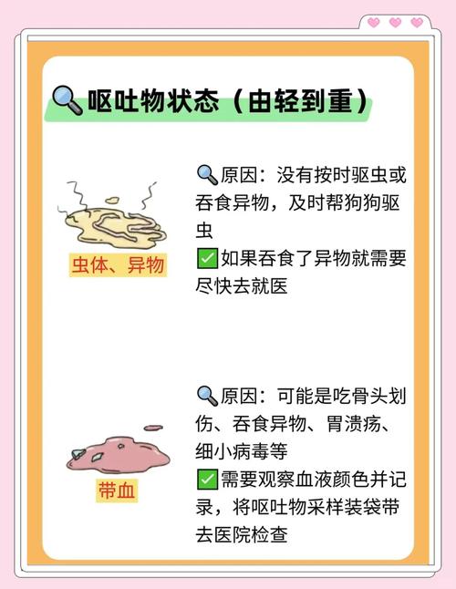 小狗三天没有喂,第四天才想起。结果不吃东西了