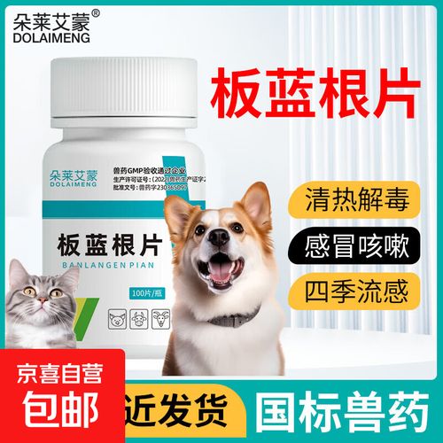 狗狗为什么要吃板蓝根