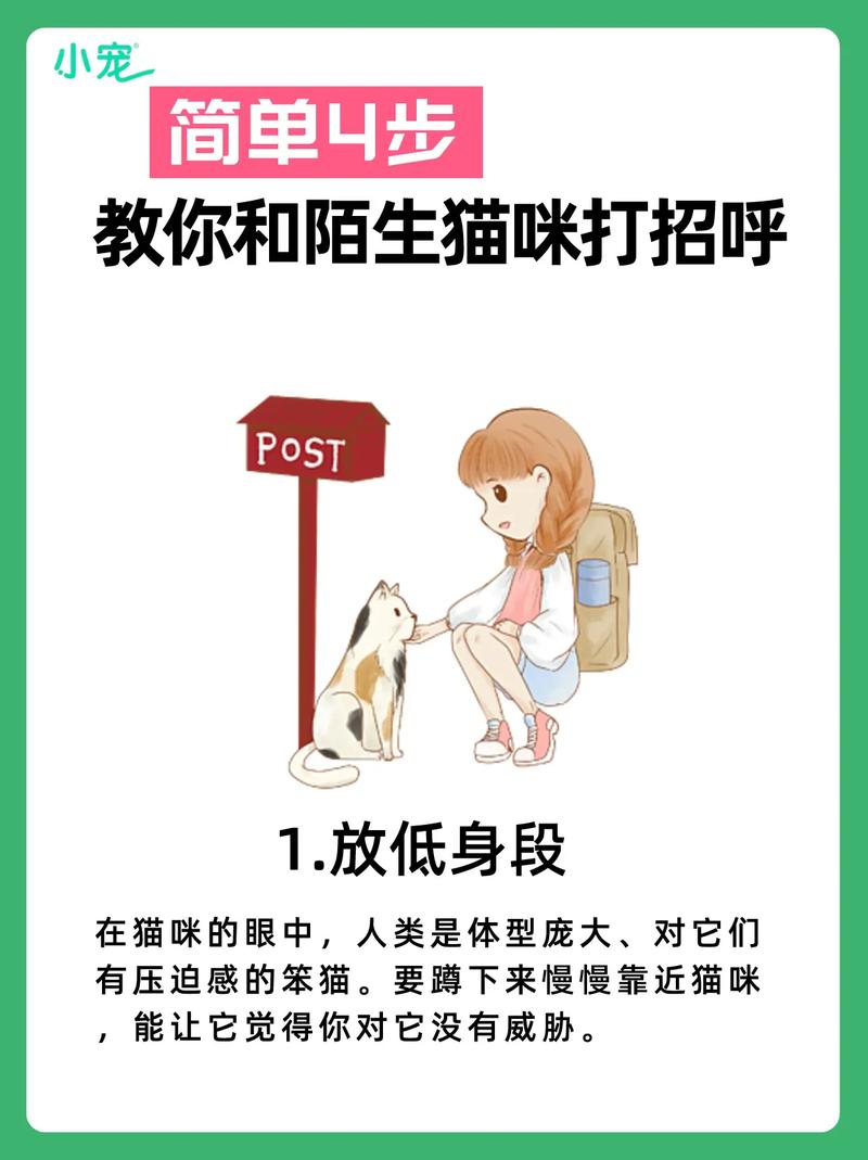 为什么流浪猫喜欢蹭人的腿?