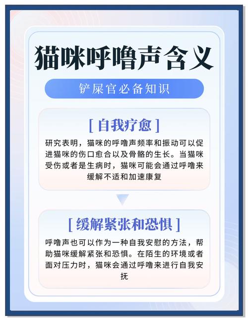 猫咪的喉咙总咕噜咕噜响怎么回事