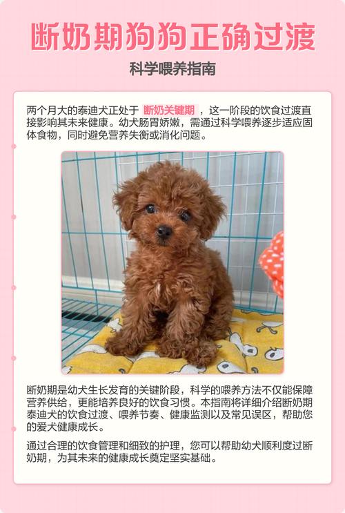 狗狗多长时间可以断奶