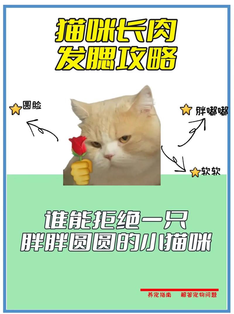 如何看猫开始发腮