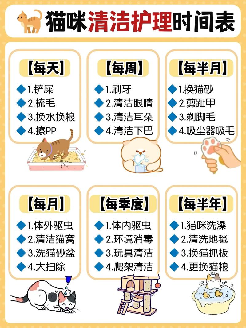 猫咪多久上一次厕所算正常