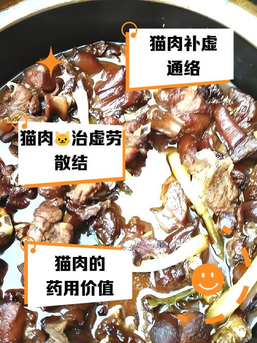 猫咪为什么不能吃猪肉