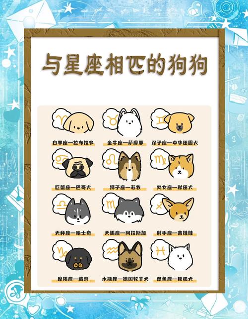 狗狗有禅意的名字