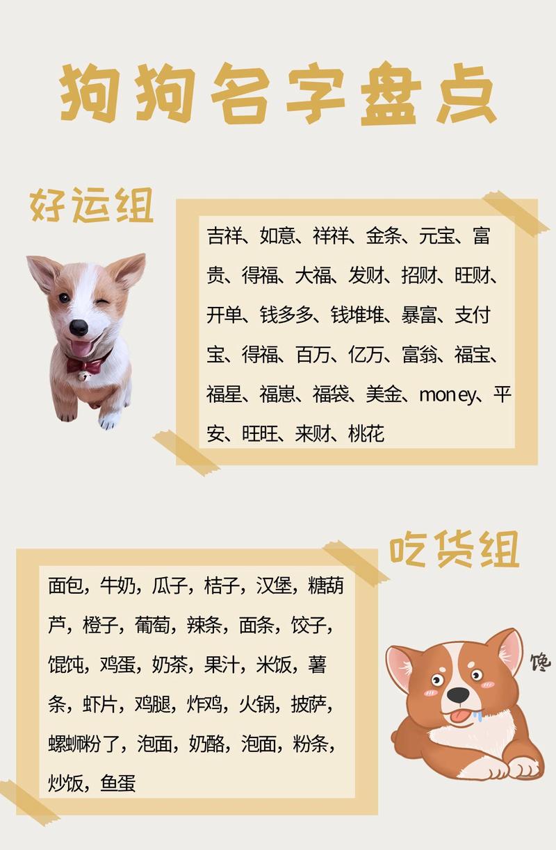 寓意健康平安的狗狗名字