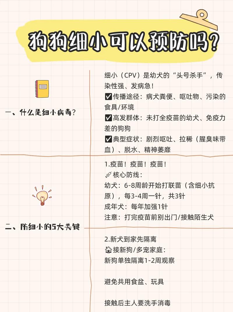 怎么预防狗狗得细小