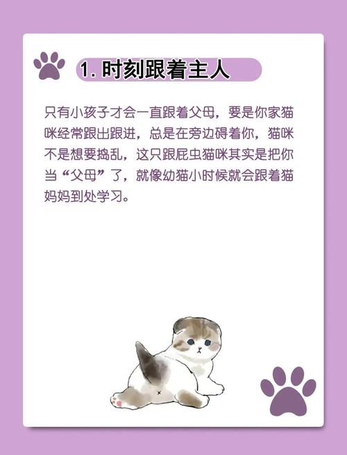 养猫经验分享|快进来看你有没有喜当妈